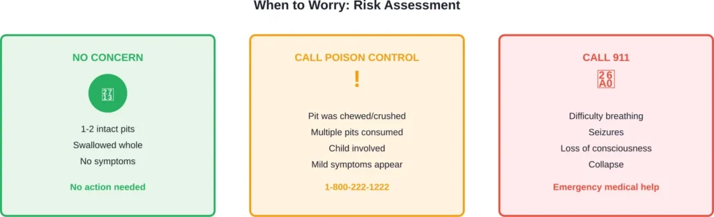 Risk levels and appropriate responses for cherry pit ingestion