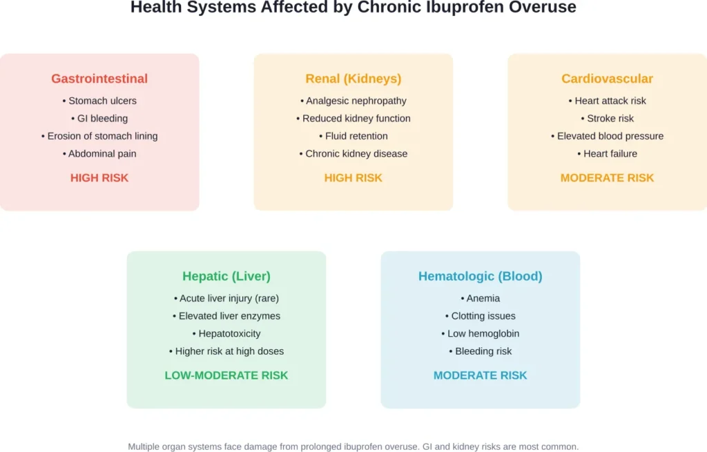 Major organ systems and health risks associated with chronic ibuprofen overuse, ranked by typical risk severity.