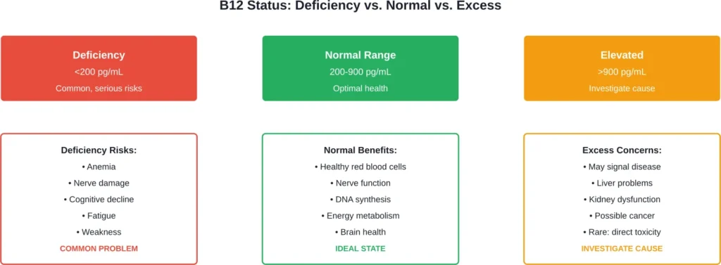 B12 deficiency poses far greater health risks than excess, though elevated levels warrant medical investigation