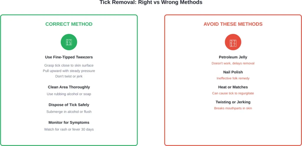 Comparison of effective tick removal versus methods that increase infection risk