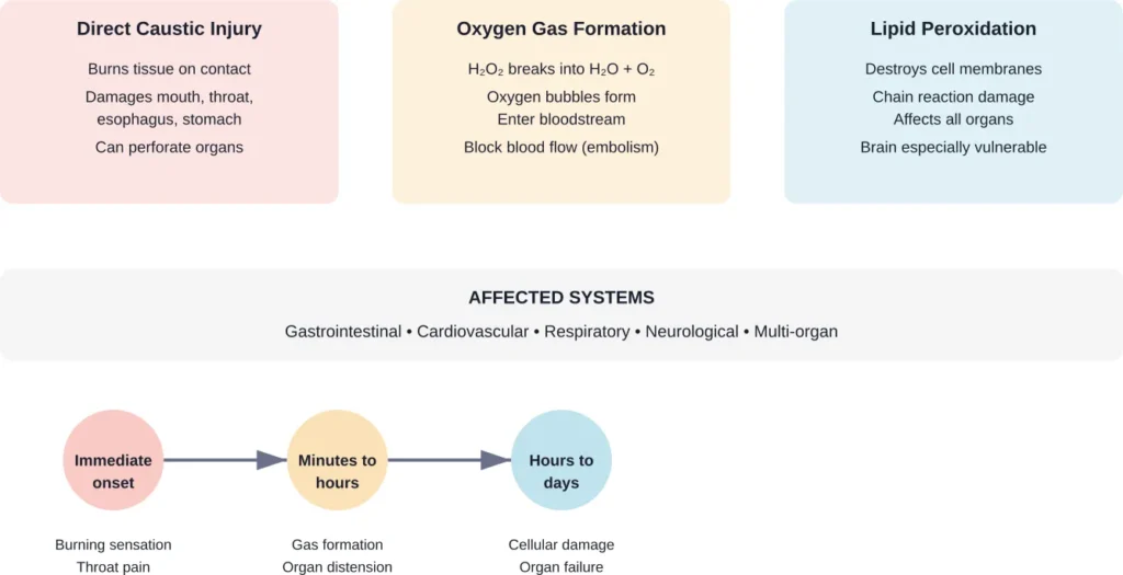 The three mechanisms of hydrogen peroxide toxicity and their timeline of effects following ingestion.
