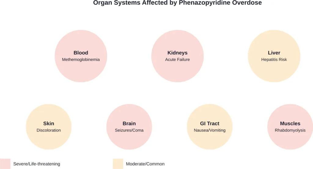 Multiple organ systems affected by phenazopyridine toxicity, with severity levels indicated

