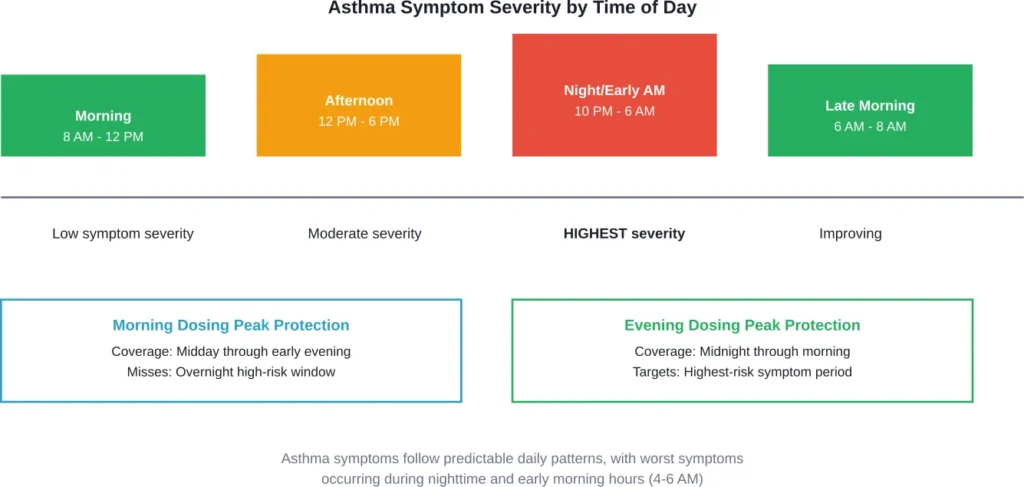 Asthma symptoms peak overnight, which is why evening montelukast dosing aligns with the body's natural circadian inflammation pattern