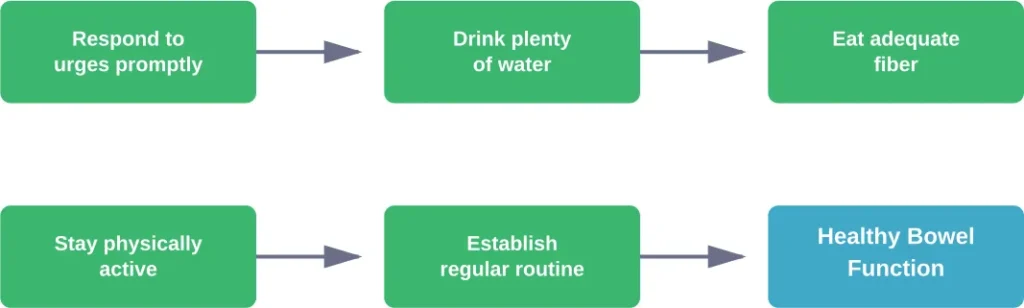 Key habits that support healthy bowel function and prevent complications from holding poop