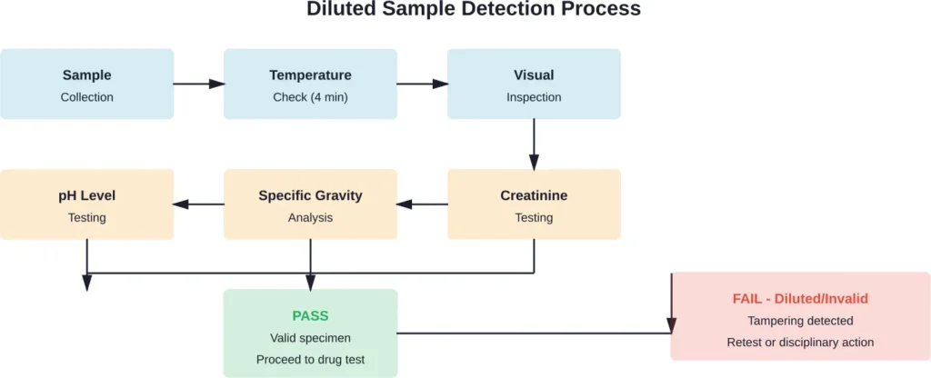 Standard laboratory workflow for specimen validity testing showing multiple checkpoints that detect dilution attempts.
