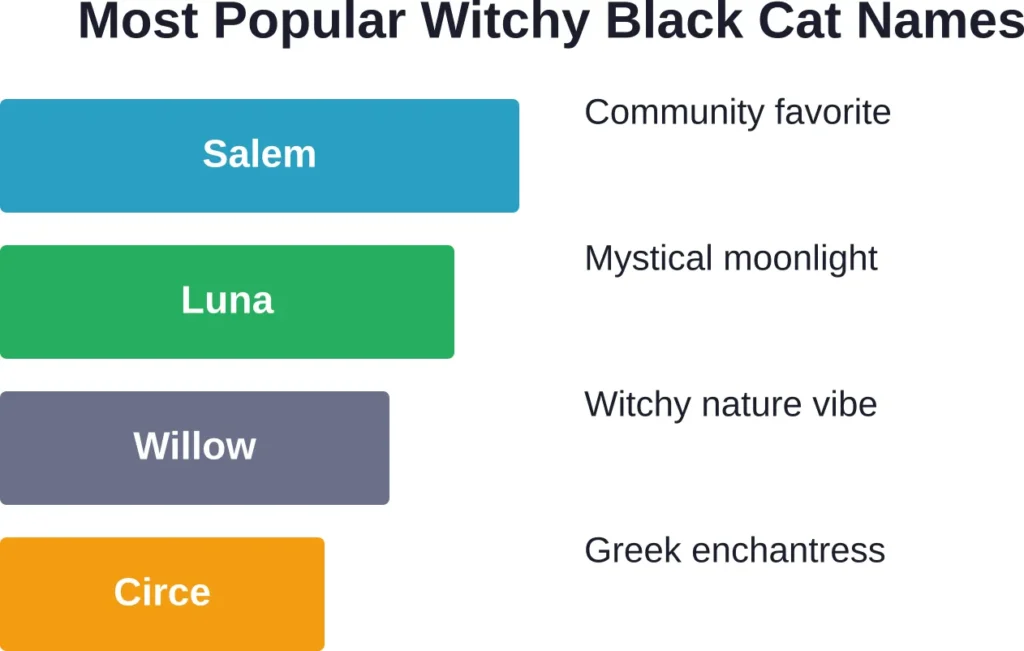 The most frequently chosen witchy names for black cats blend pop culture with authentic magical traditions.

