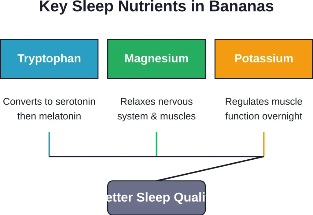 Three primary nutrients in bananas work synergistically to promote relaxation and improve sleep parameters through distinct biological pathways.