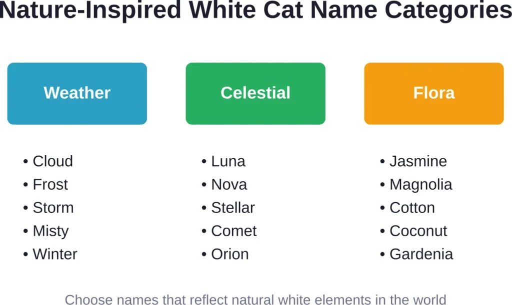 Three main categories of nature-inspired names for white cats, each offering unique connections to your feline's snowy appearance.
