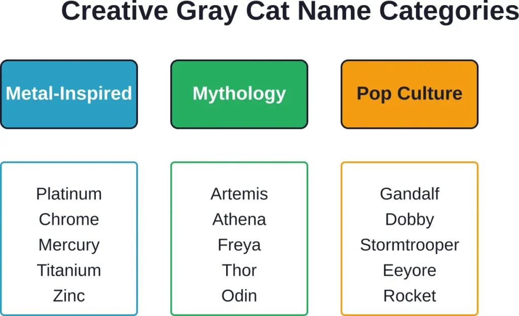 Three creative categories for naming your gray cat, each offering distinctive character options.
