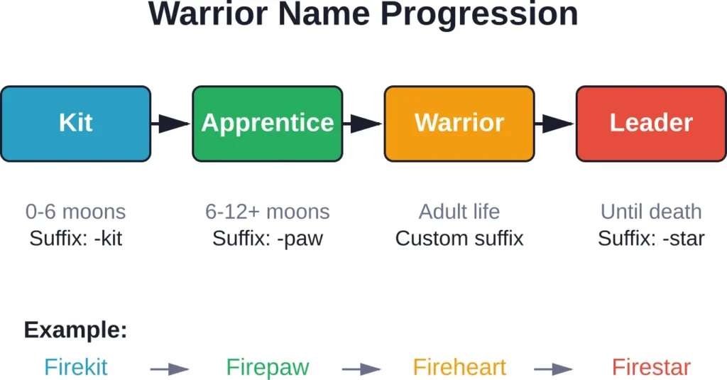 The progression of warrior cat names from kit to leader, showing how Firestar's name evolved through each life stage.