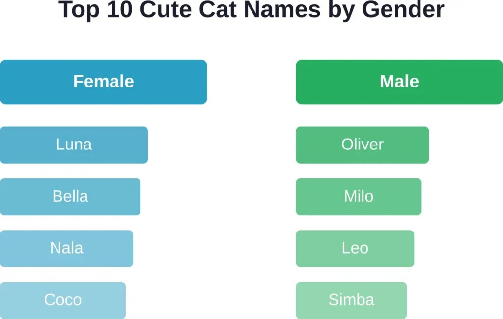 The most popular cute cat names show clear favorites across gender categories, with Luna and Oliver leading their respective groups.
