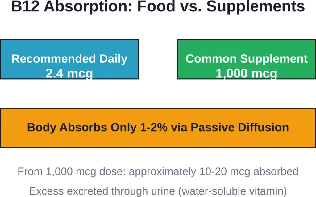 Despite the large difference between recommended intake and supplement doses, the body regulates absorption and excretes excess B12 safely.