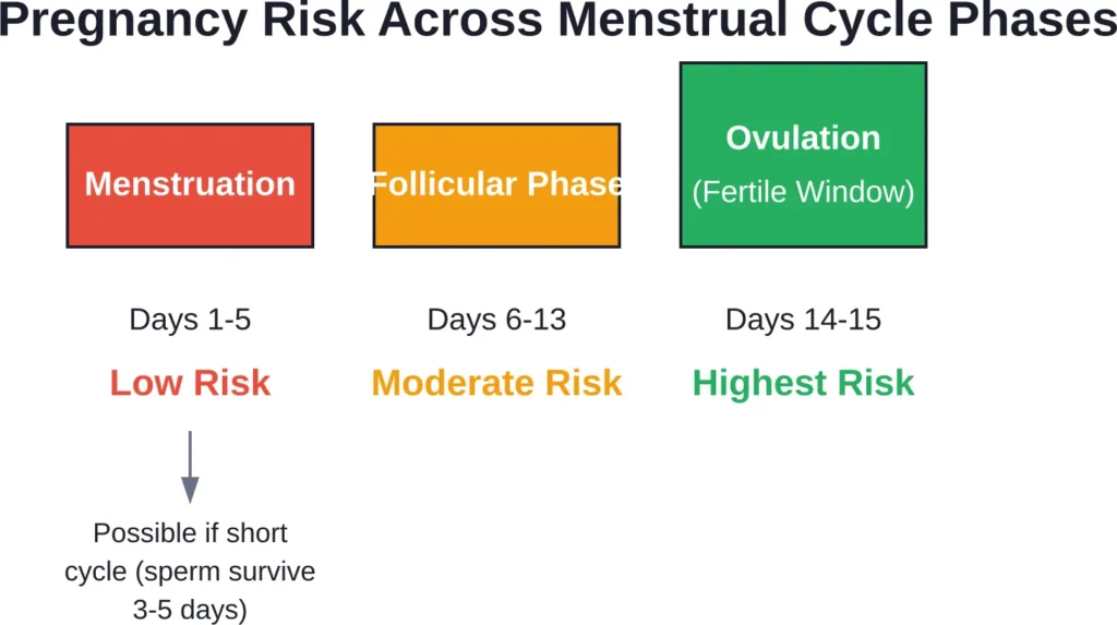Pregnancy risk varies across the menstrual cycle, with menstruation representing lower but not zero risk, especially with shorter cycles.