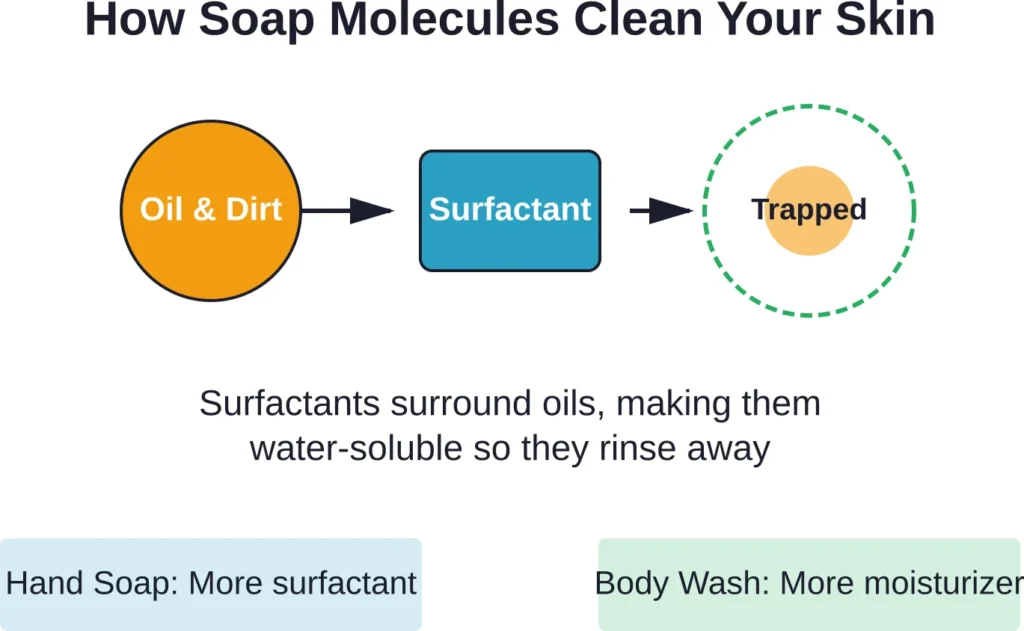 Both hand soap and body wash use surfactants to trap and remove oils, but they balance cleaning power and moisturizing differently