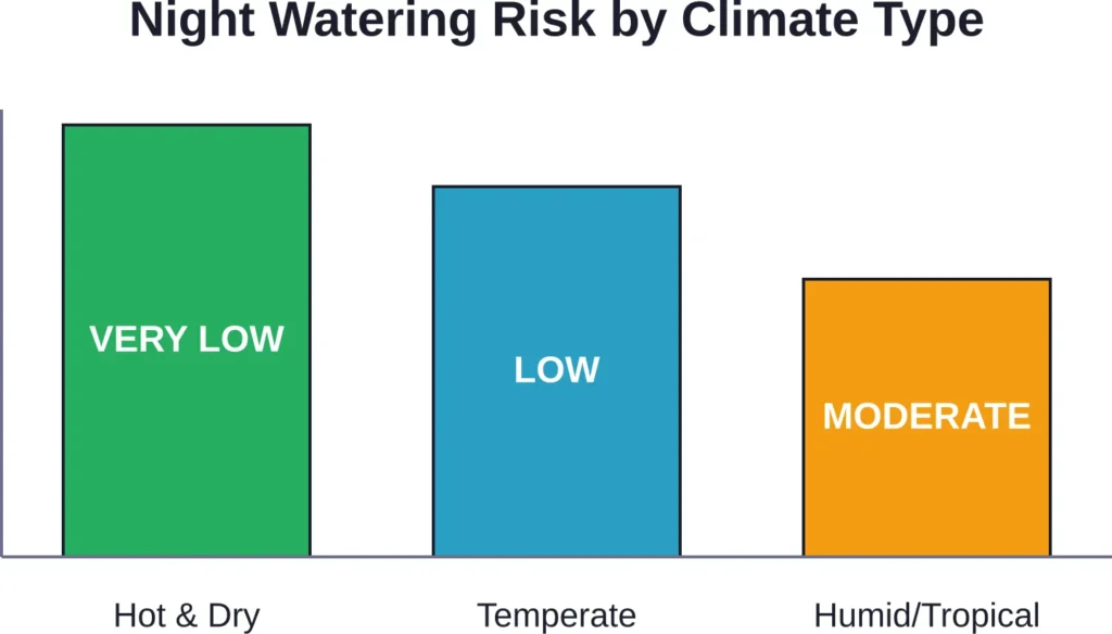 Disease risk from nighttime watering varies dramatically by climate. Hot, dry regions see minimal risk, while humid climates require more caution with evening watering schedules.