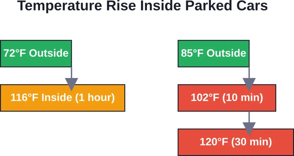 Data from Humane Society showing rapid temperature escalation in parked vehicles