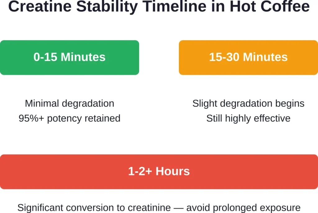 Timeline showing how creatine stability decreases the longer it sits in hot coffee