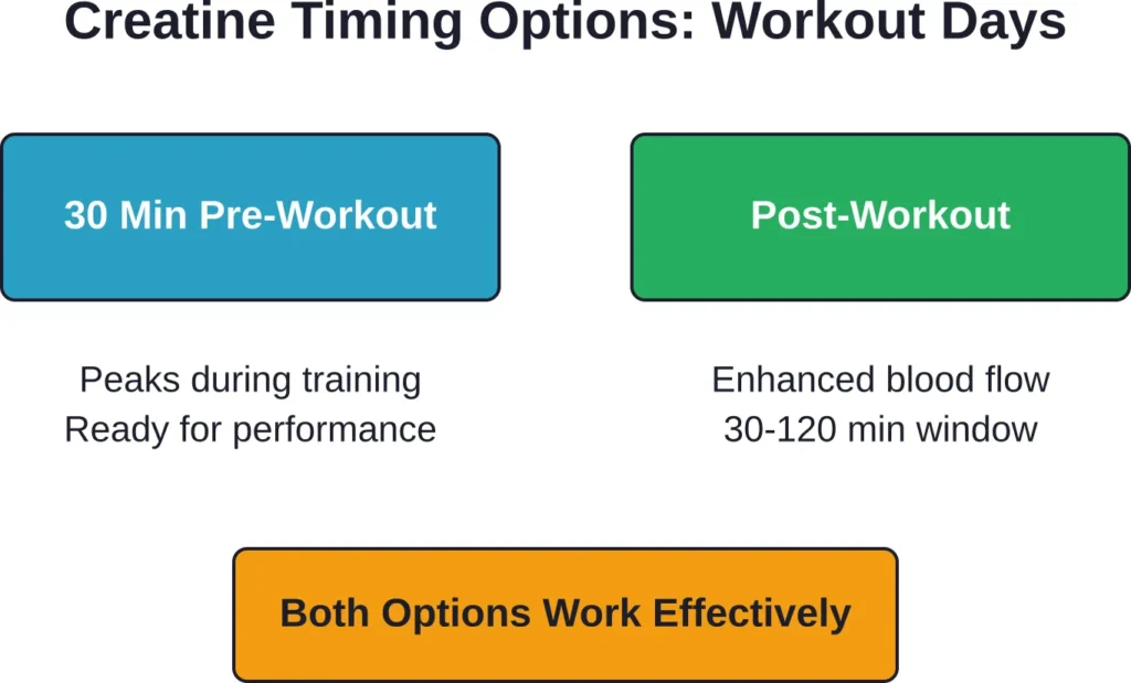 Creatine timing on workout days: both pre- and post-workout strategies offer theoretical absorption benefits based on blood flow patterns.