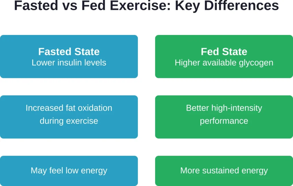 The metabolic differences between fasted and fed exercise states affect energy availability and fuel utilization during workouts.