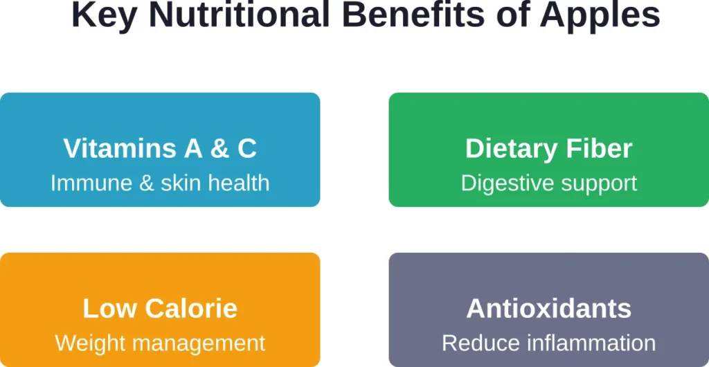 Four primary nutritional benefits apples provide for canine health when fed appropriately