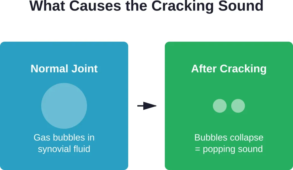 The cracking sound occurs when gas bubbles in the synovial fluid collapse during joint movement, a process called cavitation.