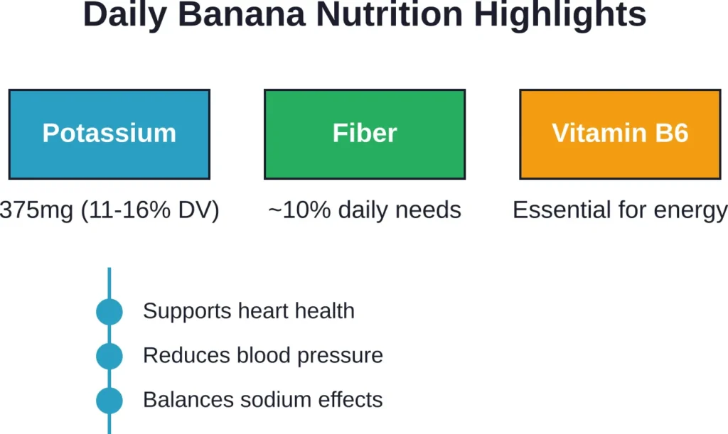 Key nutrients in one medium banana and their primary health benefits.