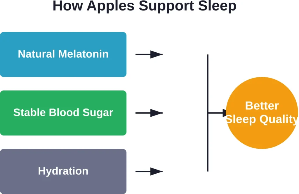 The three main pathways through which apple nutrients may contribute to improved sleep quality.