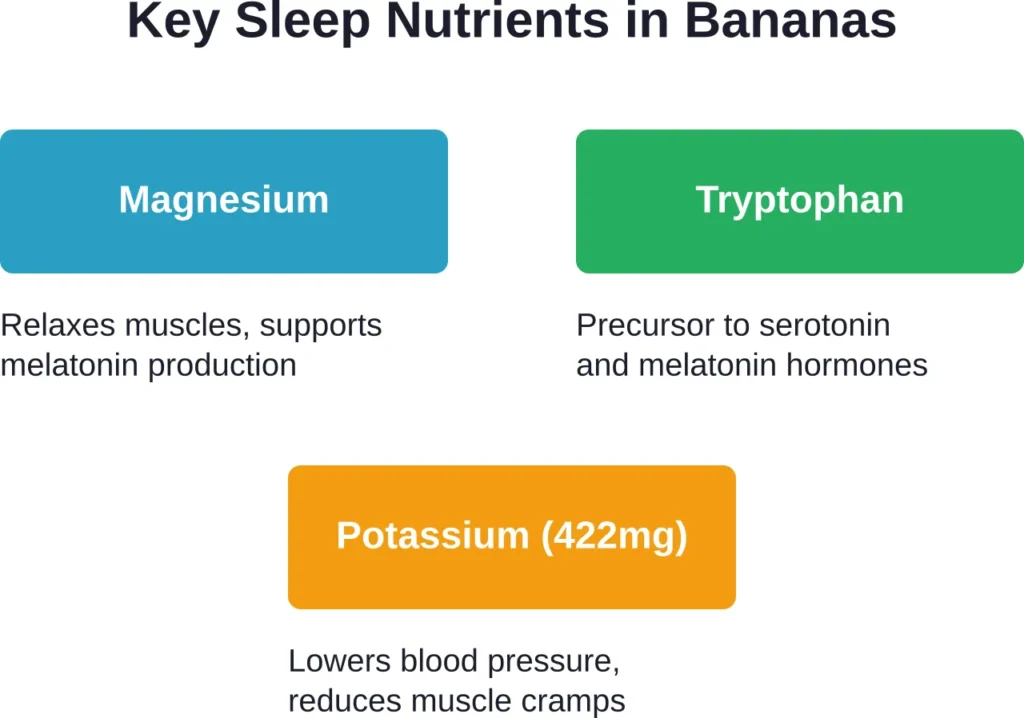 Three primary nutrients in bananas work together to support sleep regulation and muscle relaxation.