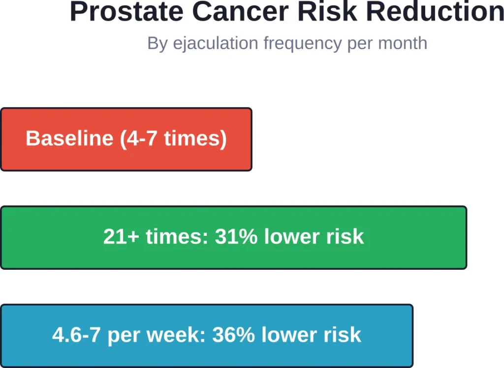 Research from Harvard Health shows significant prostate cancer risk reduction with higher ejaculation frequency