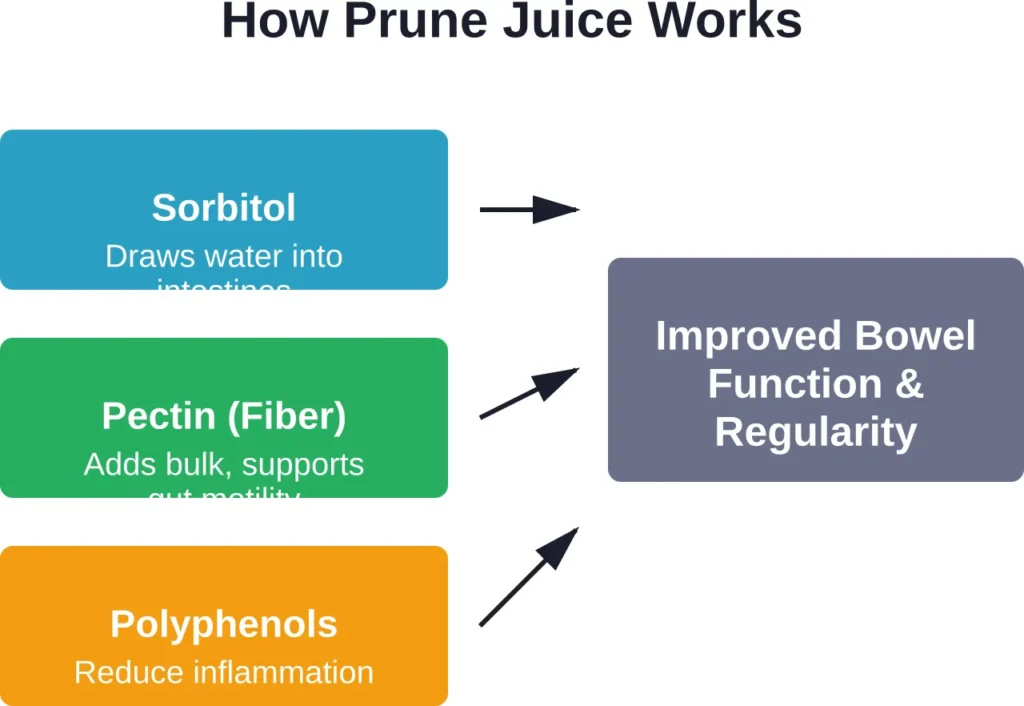 Prune juice combines three active compounds that work synergistically to promote healthy digestion and relieve constipation naturally.