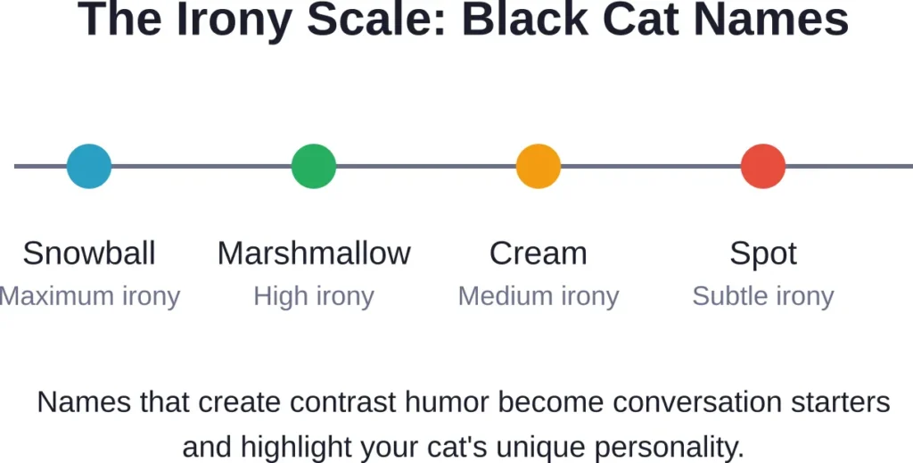 Ironic naming strategies turn black cats' dark coats into opportunities for playful contrast and memorable introductions.
