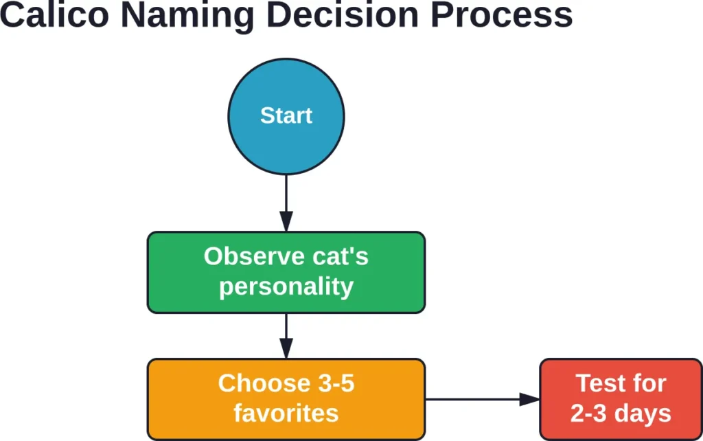 A simple workflow for selecting the ideal name that matches your calico's unique personality and your preferences.
