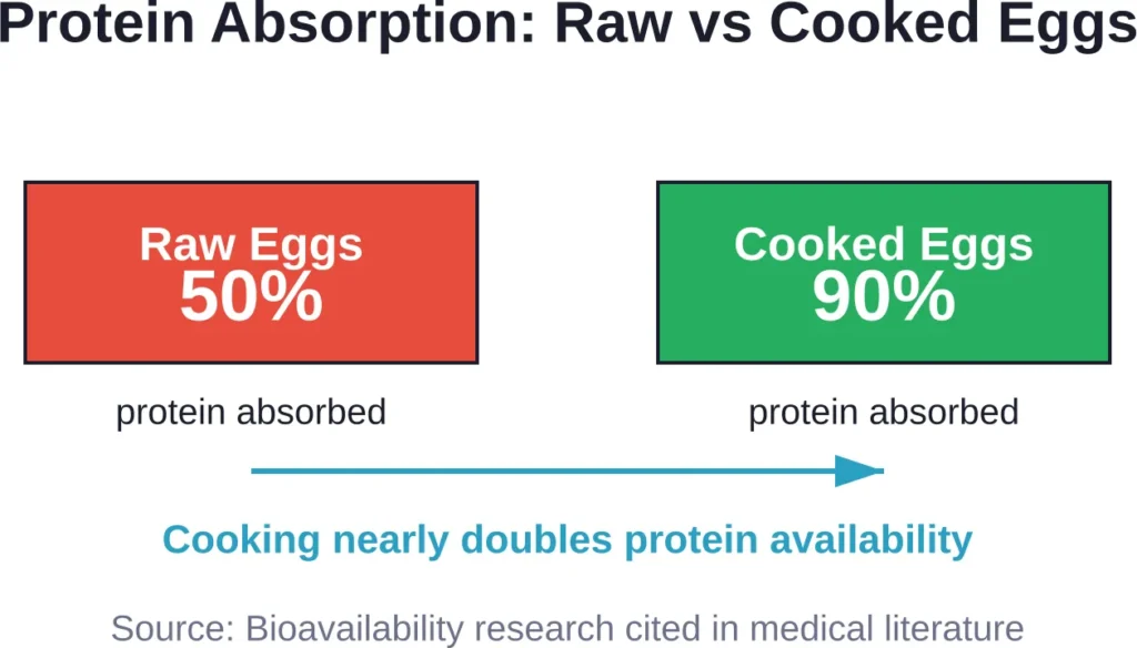 The body absorbs significantly more protein from cooked eggs compared to raw eggs.