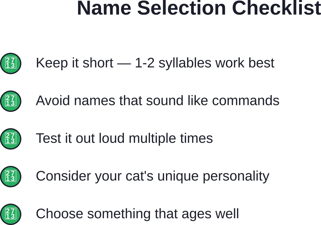 Five essential factors to consider when selecting your gray cat's perfect name.
