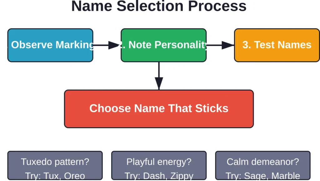 A systematic approach helps narrow down hundreds of options to find the perfect name.