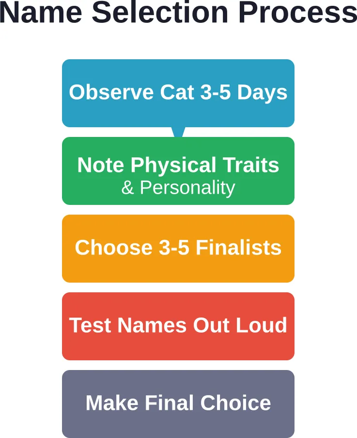 Step-by-step process for selecting the perfect male cat name
