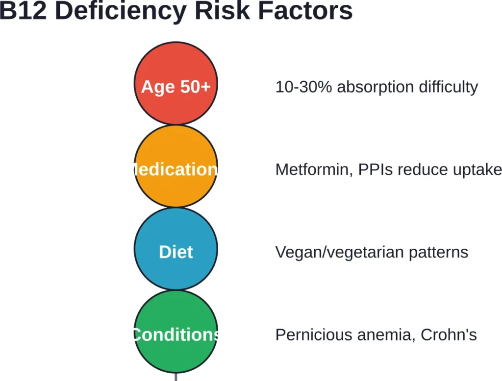 Multiple factors can impair B12 absorption, making higher supplemental doses necessary for some populations.
