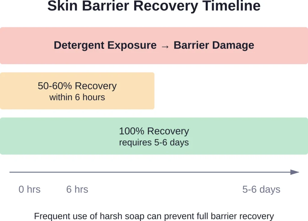 Your skin barrier needs several days to fully recover from harsh detergent exposure — frequent hand soap use on the body doesn't allow complete healing
