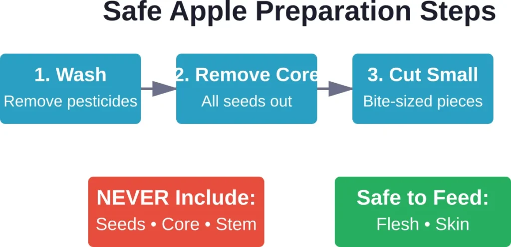 Three essential preparation steps and parts of the apple that are safe versus dangerous for dogs