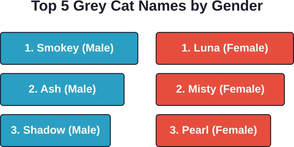 Commonly suggested grey cat names across various sources