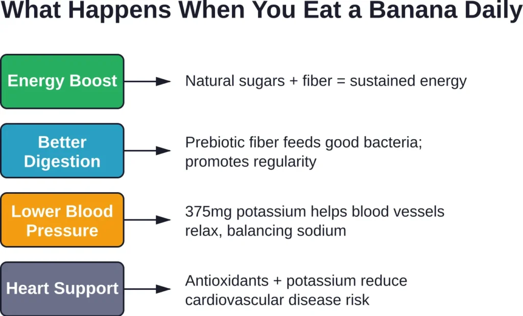 The cascade of health benefits triggered by daily banana consumption.