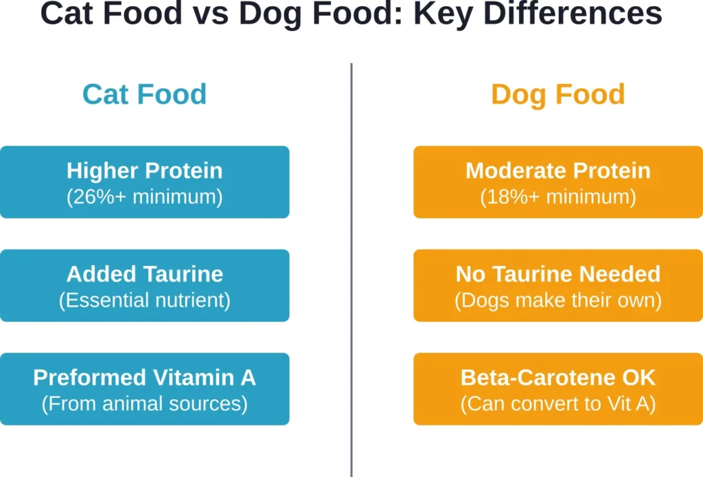 Major nutritional distinctions between cat and dog food formulations based on species-specific requirements