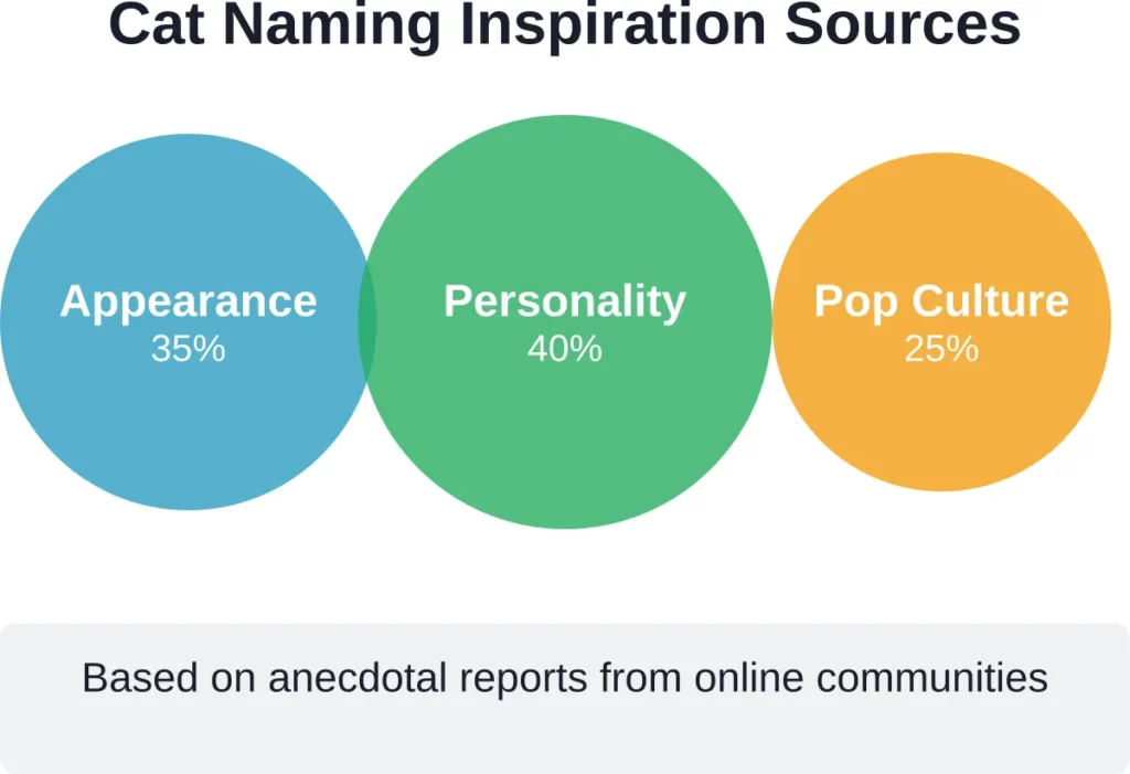 Cat owners most commonly draw naming inspiration from their kitten's personality traits, followed by physical appearance and pop culture references.
