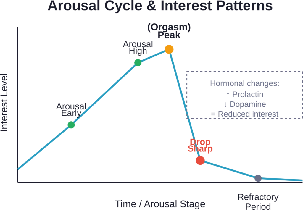 Interest in sexual activities, including consuming semen, typically drops sharply after orgasm due to hormonal changes during the refractory period.