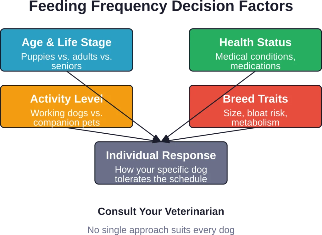 Multiple factors influence the optimal feeding frequency for individual dogs

