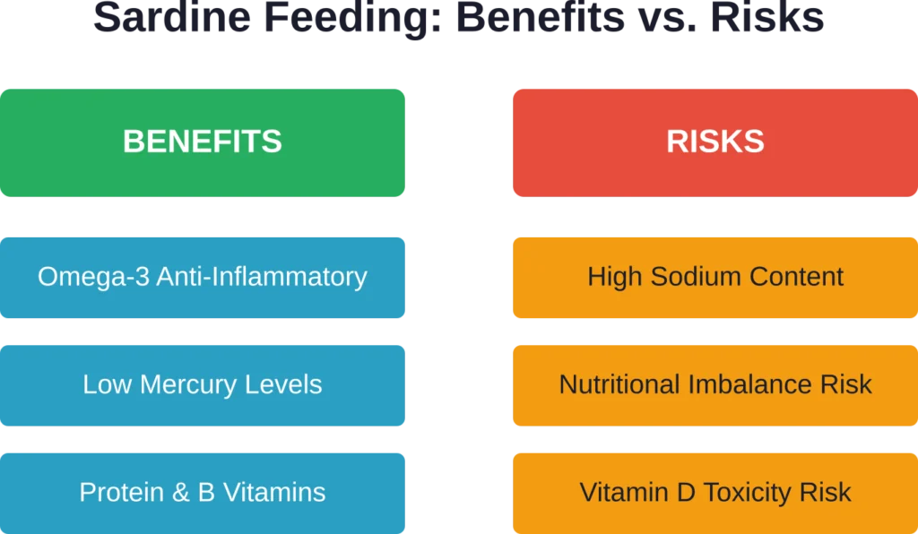 Key nutritional benefits of sardines balanced against potential health risks from daily feeding
