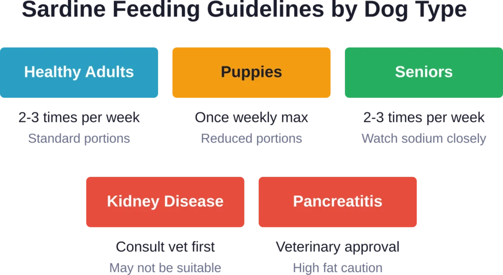 Recommended sardine feeding frequency varies based on dog age and health status
