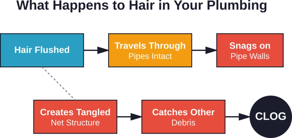 The progression of hair from flush to clog in typical household plumbing systems.
