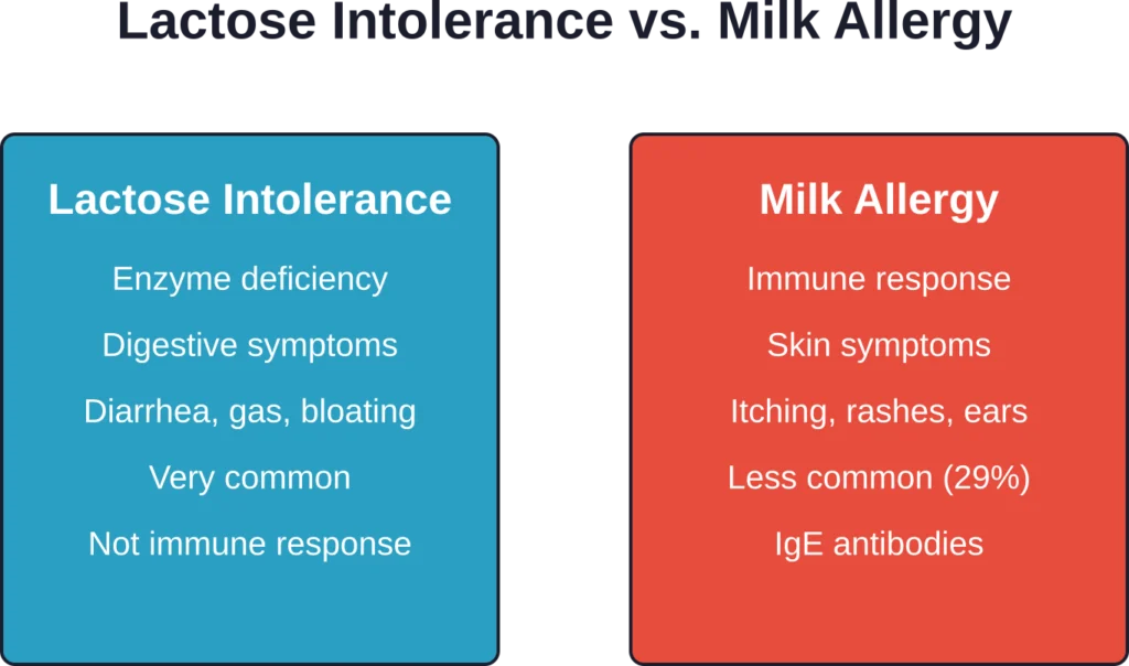 Key differences between lactose intolerance and milk allergy in dogs, including symptoms and underlying mechanisms.
