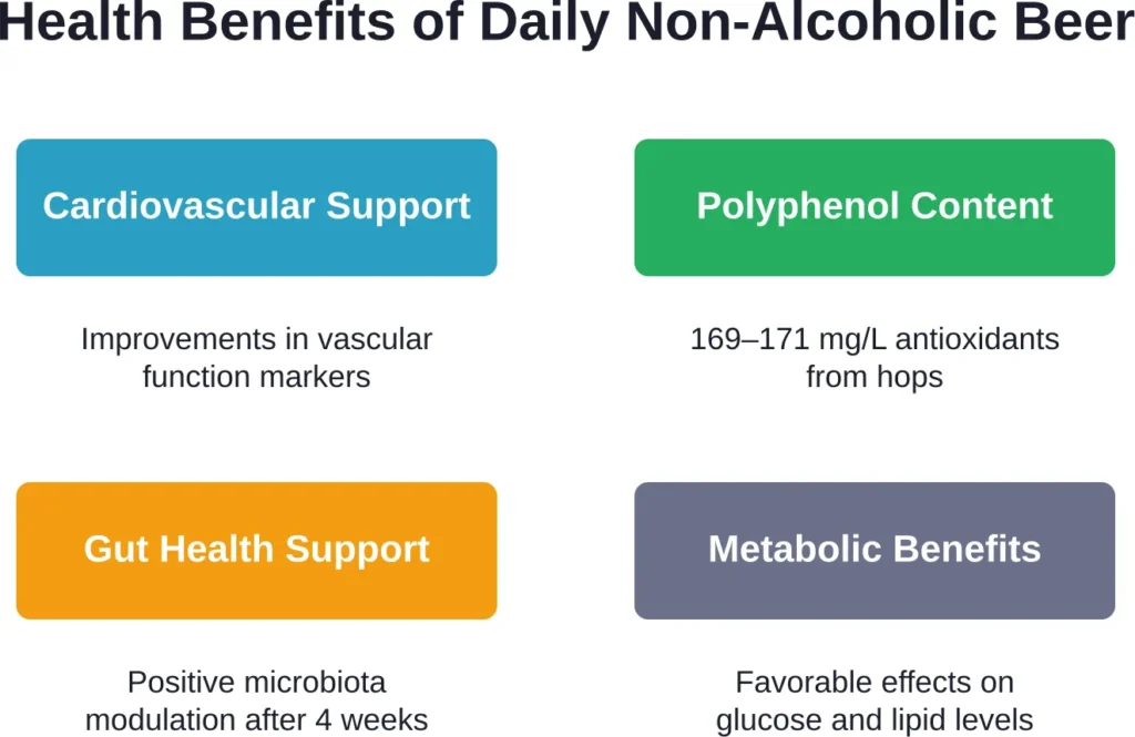 Research-backed health benefits observed in studies of daily non-alcoholic beer consumption (330 mL servings)